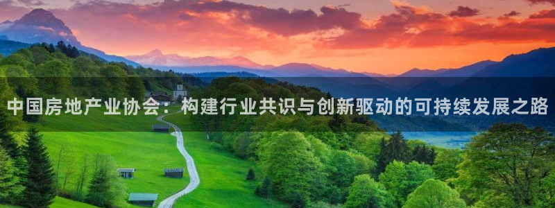 天豪娱乐会所狮山：中国房地产业协会：构建行业共识与创新驱动的