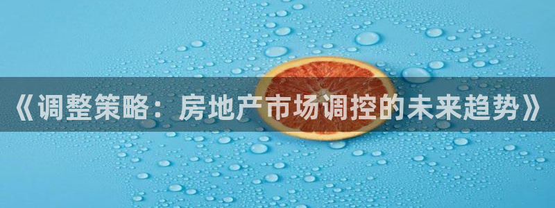 天狮娱乐主管82104：《调整策略：房地产市场调控的未来趋势