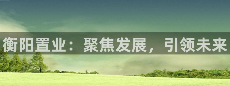 天狮娱乐平台代理：衡阳置业：聚焦发展，引领未来