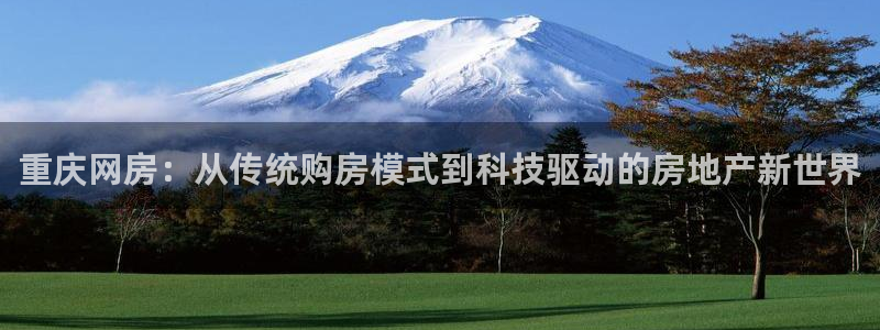 天狮娱乐平台：重庆网房：从传统购房模式到科技驱动的房地产新世