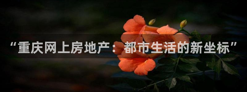天狮娱乐注册开户：“重庆网上房地产：都市生活的新坐标”