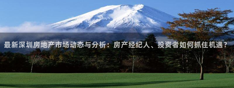 狮山天豪娱乐会所怎么样：最新深圳房地产市场动态与分析：房产经