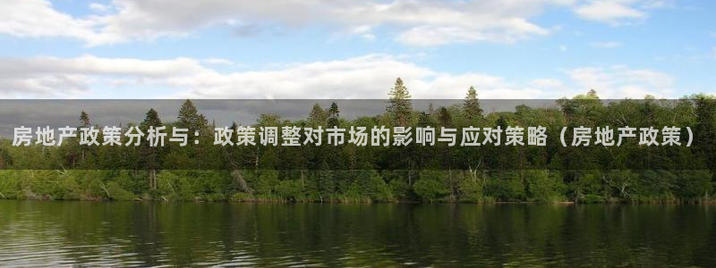 天狮娱乐57661 老x板：房地产政策分析与：政策调整对市场