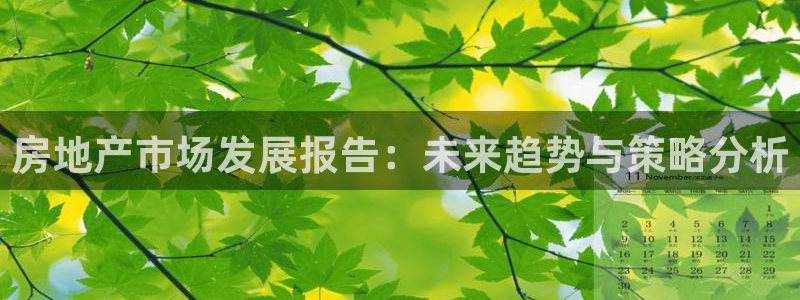 天狮娱乐非法吗：房地产市场发展报告：未来趋势与策略分析