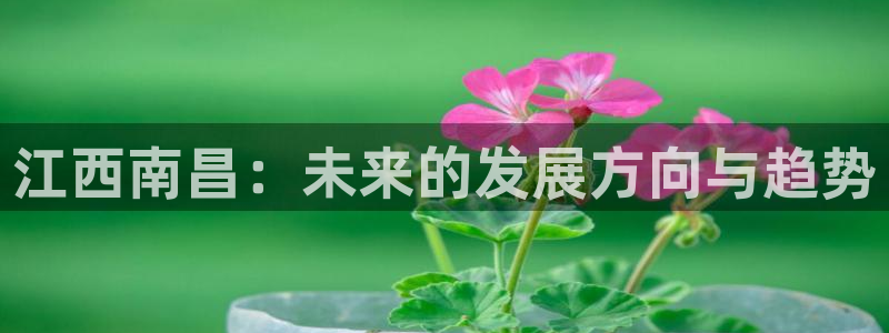 天狮娱乐开好：江西南昌：未来的发展方向与趋势