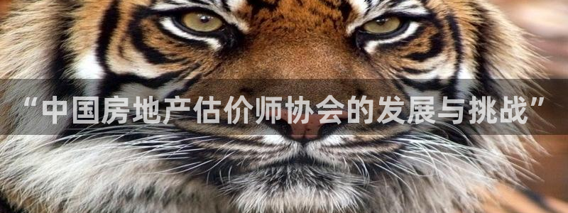 天狮娱乐里：“中国房地产估价师协会的发展与挑战”