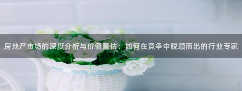 天狮娱乐负责人：房地产市场的深度分析与价值重估：如何在竞争中