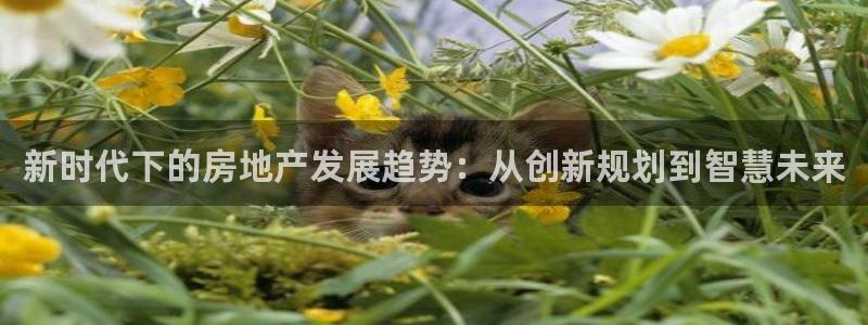 天狮娱乐注册登录：新时代下的房地产发展趋势：从创新规划到智慧