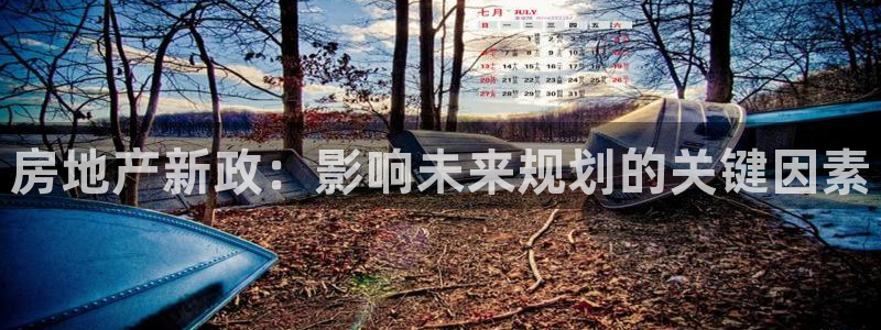 天狮娱乐 148-27：房地产新政：影响未来规划的关键因素