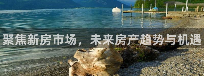 天狮娱乐 138：聚焦新房市场，未来房产趋势与机遇