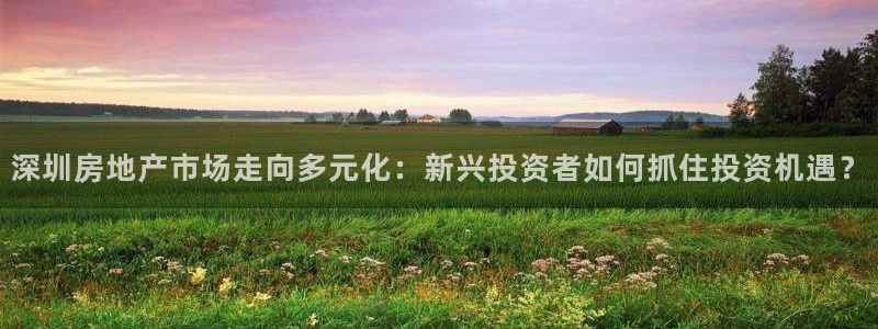 天狮娱乐61116：深圳房地产市场走向多元化：新兴投资者如何