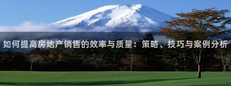 天狮娱乐彩票靠谱吗：如何提高房地产销售的效率与质量：策略、技