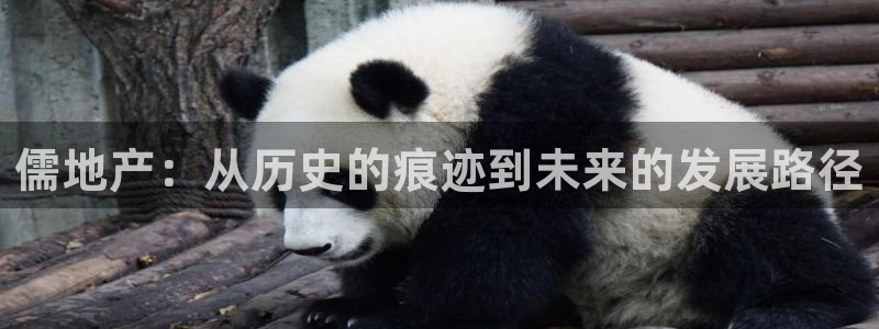 天狮娱乐c OO判官：儒地产：从历史的痕迹到未来的发展路径