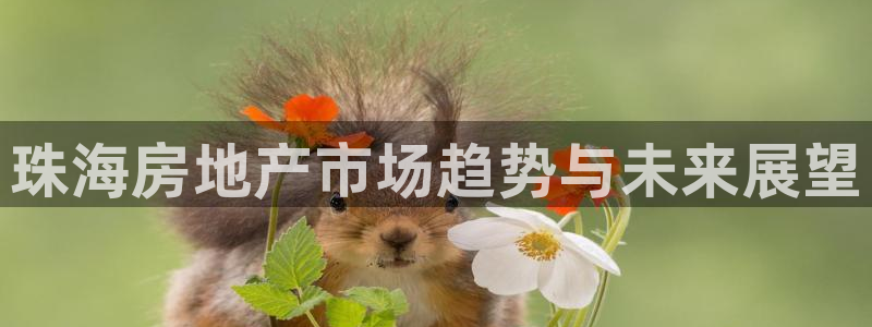 天狮娱乐湫33 300：珠海房地产市场趋势与未来展望