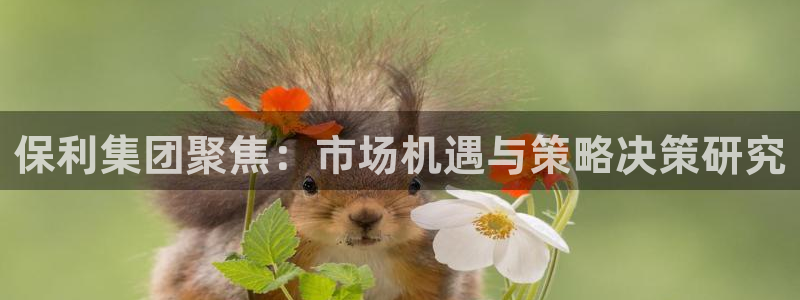 天狮娱乐平台代理：保利集团聚焦：市场机遇与策略决策研究