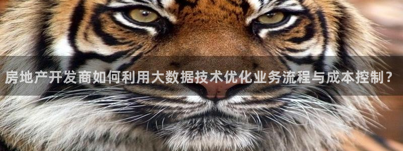 天狮娱乐挂机风险：房地产开发商如何利用大数据技术优化业务流程