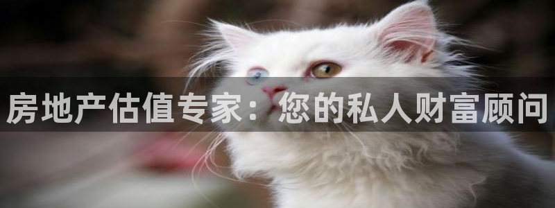 天狮娱乐客服：房地产估值专家：您的私人财富顾问