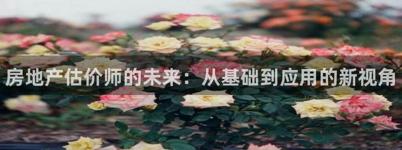 天狮娱乐彩票app：房地产估价师的未来：从基础到应用的新视角