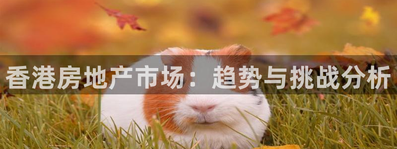 天狮娱乐 卧j主管60447：香港房地产市场：趋势与挑战分析