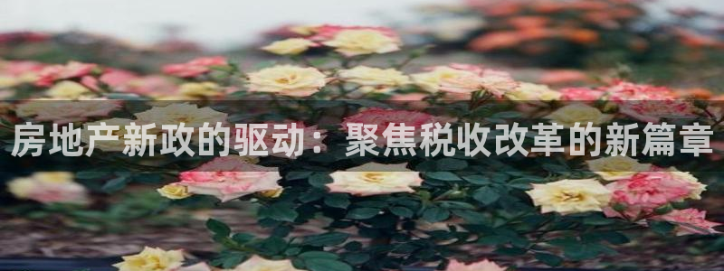 天狮娱乐挂机软件：房地产新政的驱动：聚焦税收改革的新篇章