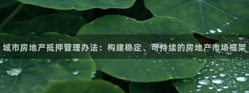 天狮娱乐代理找谁：城市房地产抵押管理办法：构建稳定、可持续的