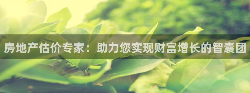 天狮娱乐950954：房地产估价专家：助力您实现财富增长的智