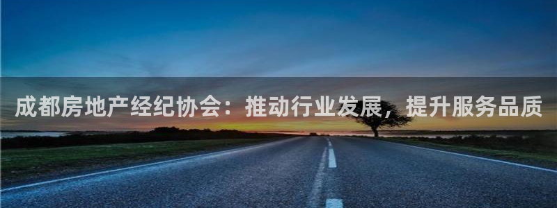 天狮娱乐靠谱吗：成都房地产经纪协会：推动行业发展，提升服务品