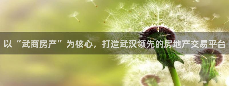 天狮娱乐bd33net广告：以“武商房产”为核心，打造武汉领