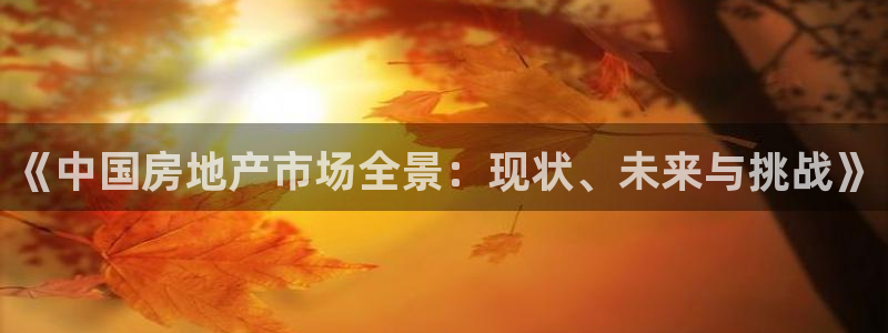 天狮娱乐代理怎么做：《中国房地产市场全景：现状、未来与挑战》