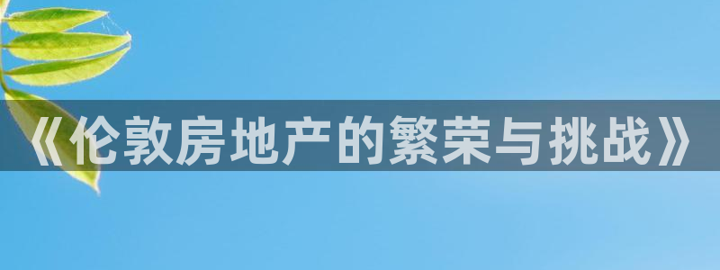 天狮娱乐登录网址：《伦敦房地产的繁荣与挑战》