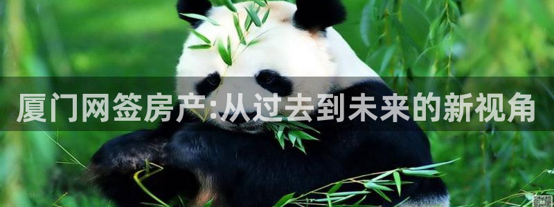 天狮娱乐下载网址：厦门网签房产:从过去到未来的新视角