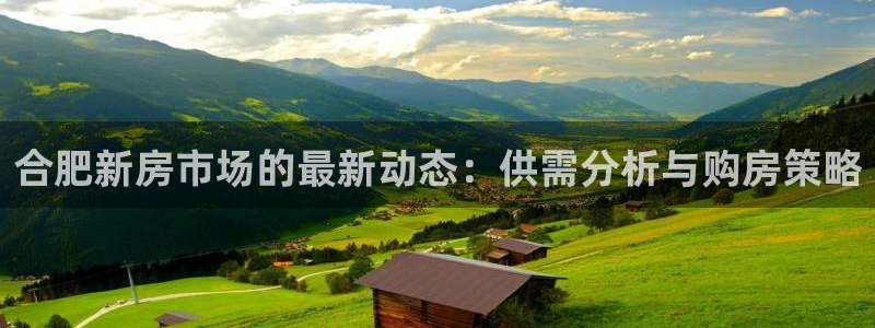 如何成为天狮娱乐的会员：合肥新房市场的最新动态：供需分析与购