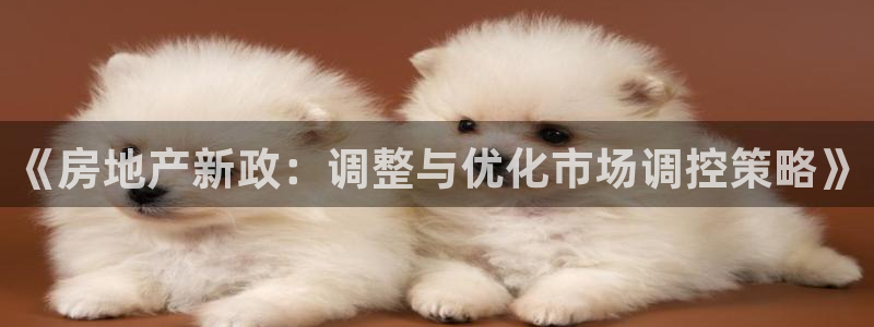 天狮娱乐负：《房地产新政：调整与优化市场调控策略》