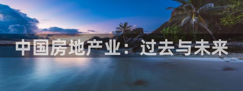 天狮娱乐71009：中国房地产业：过去与未来