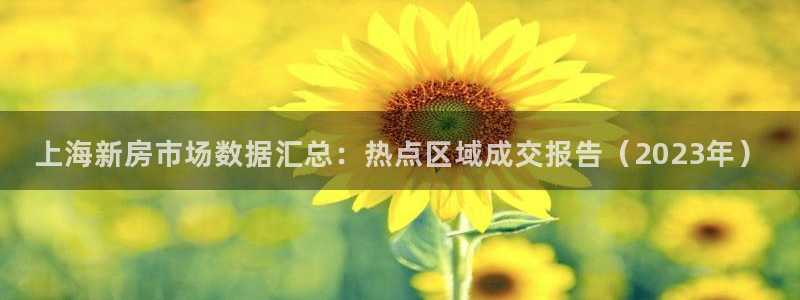 天狮娱乐138：上海新房市场数据汇总：热点区域成交报告（20