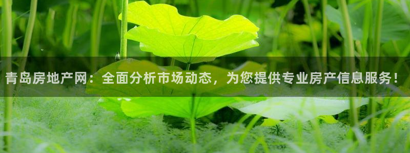 天狮娱乐行：青岛房地产网：全面分析市场动态，为您提供专业房产