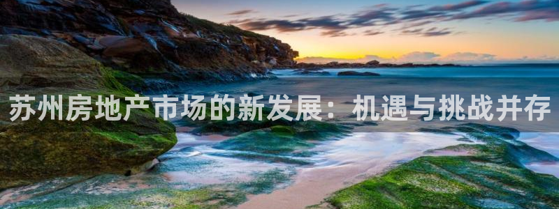 天狮娱乐彩票真假：苏州房地产市场的新发展：机遇与挑战并存