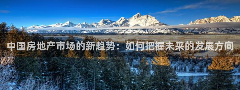 天狮娱乐60447股东