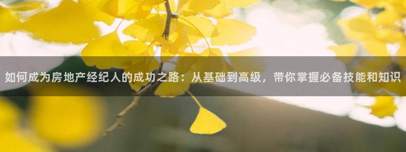 天狮娱乐950594：如何成为房地产经纪人的成功之路：从基础