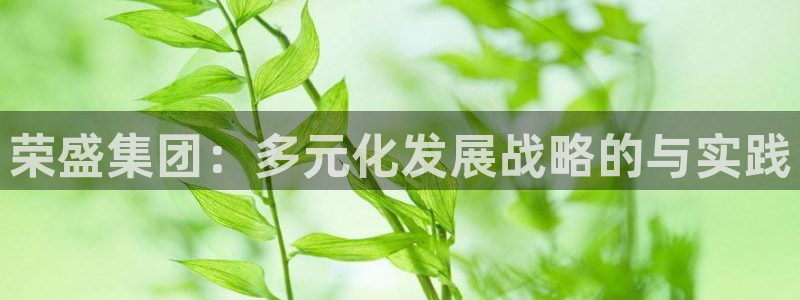 天狮娱乐主招商：荣盛集团：多元化发展战略的与实践