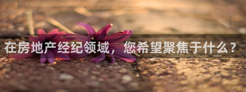 天狮娱乐招商57757：在房地产经纪领域，您希望聚焦于什么？