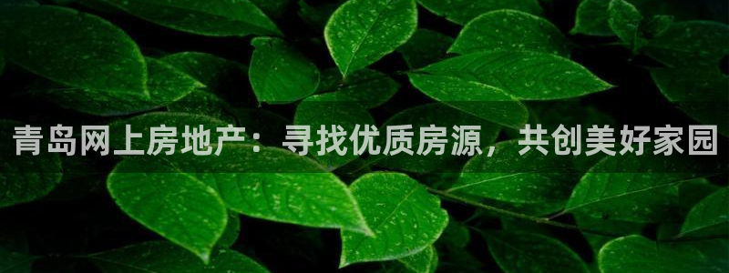 天狮娱乐腾讯分分彩：青岛网上房地产：寻找优质房源，共创美好家