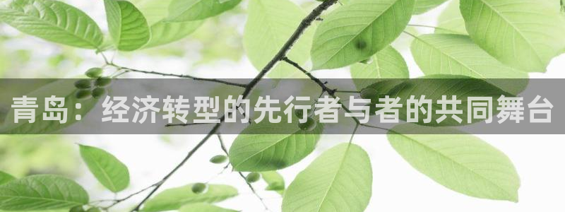 蓝狮娱乐注册天原判官333OO：青岛：经济转型的先行者与者的