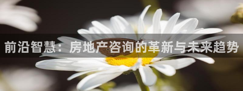 天狮娱乐注册开户：前沿智慧：房地产咨询的革新与未来趋势