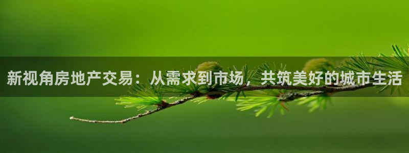 天狮娱乐如：新视角房地产交易：从需求到市场，共筑美好的城市生