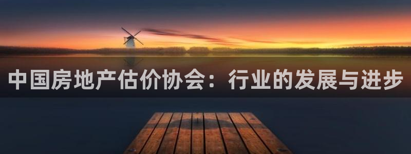 天狮娱乐主管29229：中国房地产估价协会：行业的发展与进步