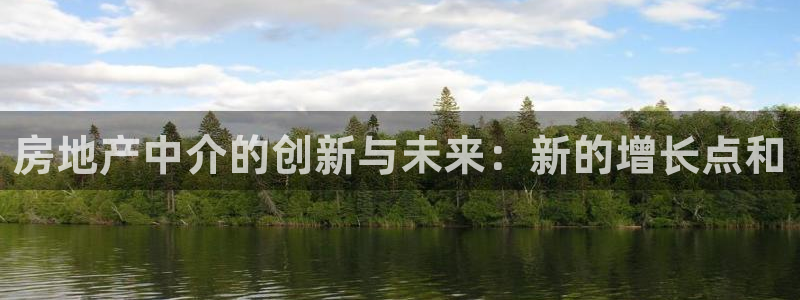 天狮娱乐经：房地产中介的创新与未来：新的增长点和