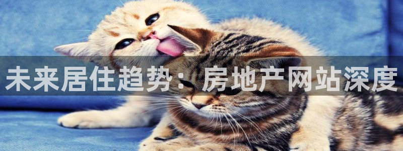 天狮娱乐注册q 0：未来居住趋势：房地产网站深度