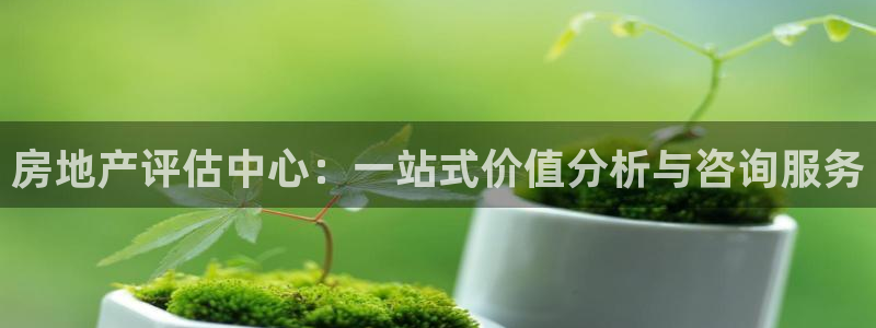 天狮娱乐 b运营67646：房地产评估中心：一站式价值分析与