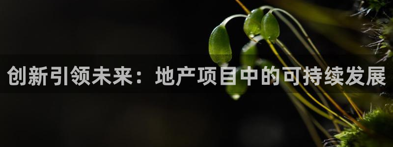 天狮娱乐优惠：创新引领未来：地产项目中的可持续发展